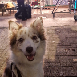 WhatsApp-Image-2026-02-15-at-13.12.36-2