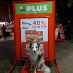 WhatsApp-Image-2026-02-15-at-13.12.36