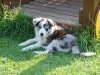 dsc_9324-medium