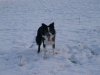 skip_017