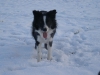 skip_023
