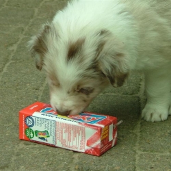 jv-2008_0422_152254_medium