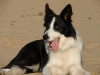 dsc01728_medium