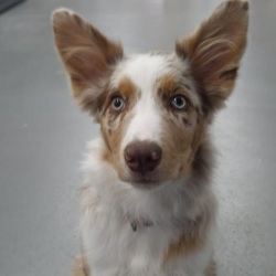 8262ed29-6287-480c-bc82-dae42560a10f-Gemiddeld