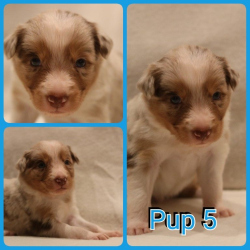 PhotoCollage_1733421598636-Gemiddeld