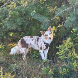 e84e0928-2b24-43a6-b1c0-ce0f7431e165-Gemiddeld