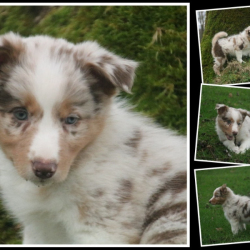 ties-week-7-Gemiddeld