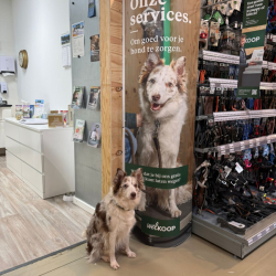 WhatsApp-Image-2026-02-15-at-13.29.42-2