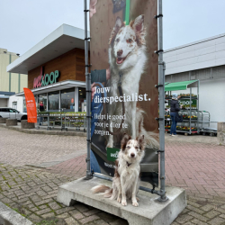 WhatsApp-Image-2026-02-15-at-13.29.42-3