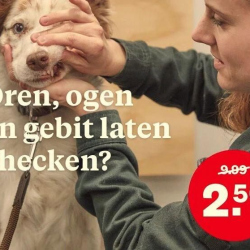 WhatsApp-Image-2026-02-15-at-13.29.42-5