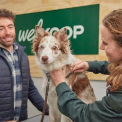 WhatsApp-Image-2026-02-15-at-13.29.42-6