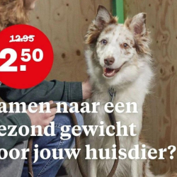 WhatsApp-Image-2026-02-15-at-13.29.42-7