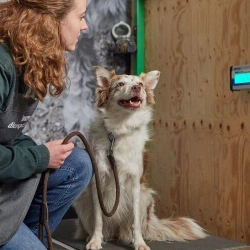 WhatsApp-Image-2026-02-15-at-13.29.42-8