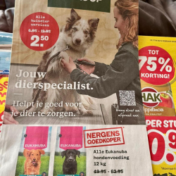 WhatsApp-Image-2026-02-15-at-13.29.42