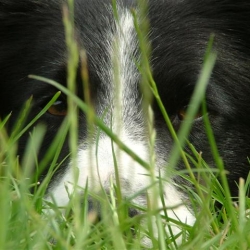 Zoey_2005-06-03_14.31.13