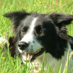 Zoey_2005-08-09_16.56.30